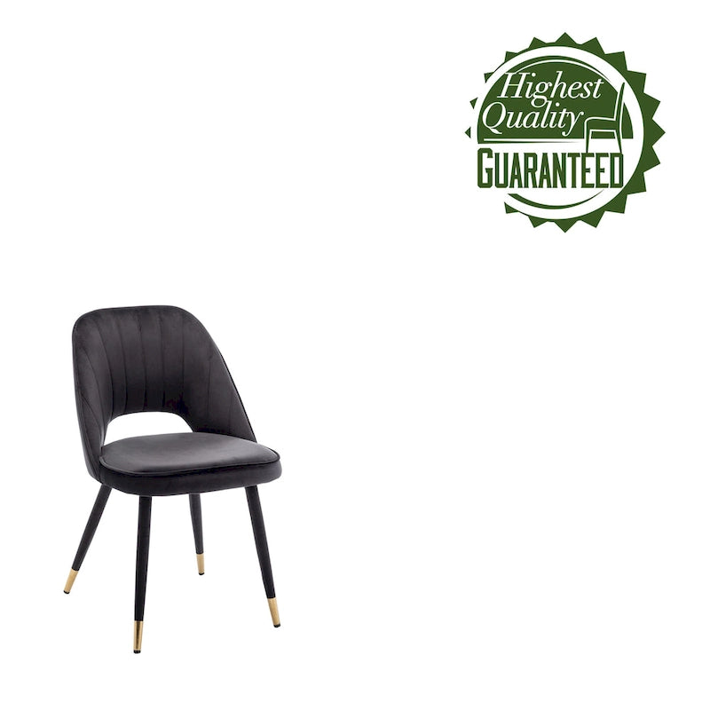 Velvet Dining Chairs with Gold Trim, Set of 2