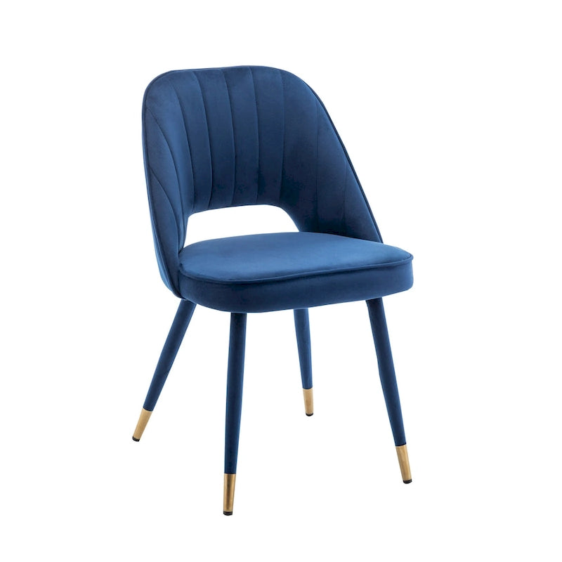 Velvet Dining Chairs with Gold Trim, Set of 2
