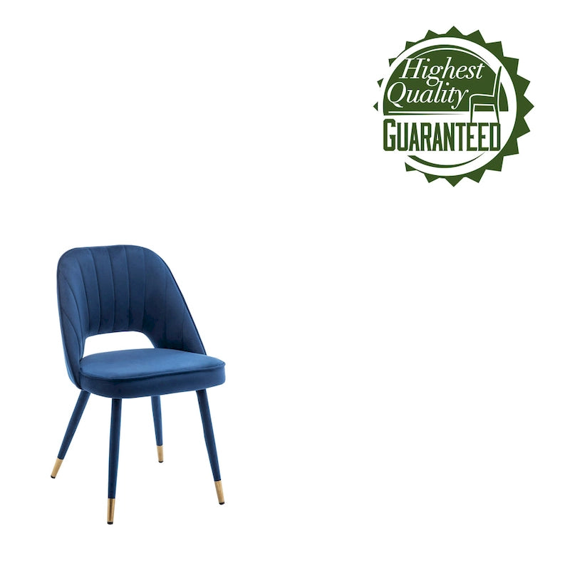 Velvet Dining Chairs with Gold Trim, Set of 2