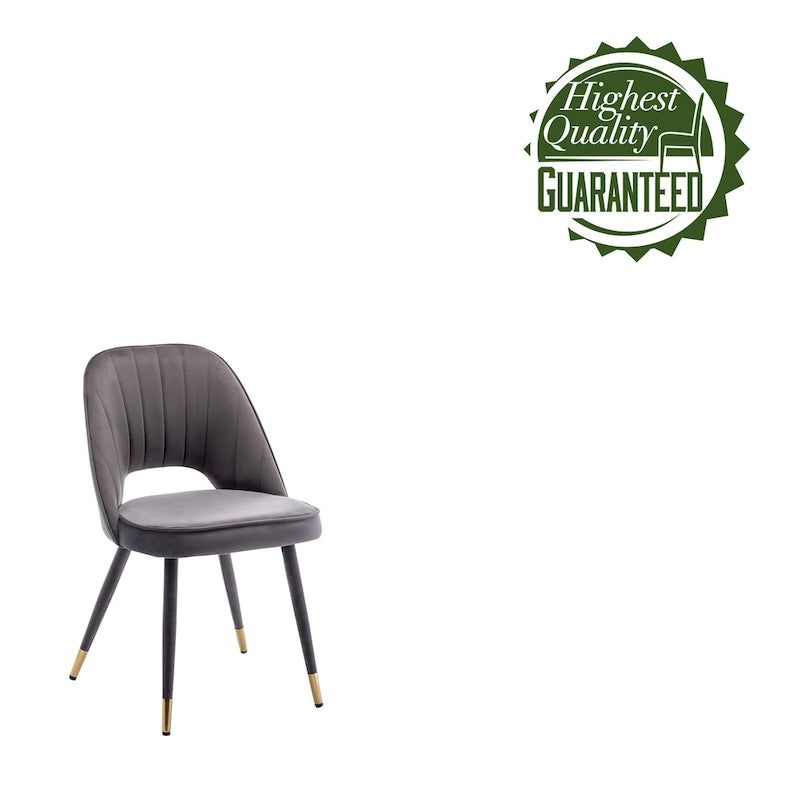 Velvet Dining Chairs with Gold Trim, Set of 2