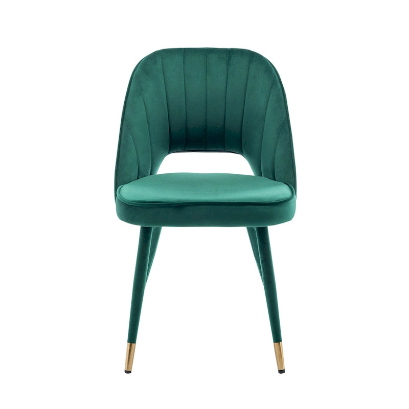 Velvet Dining Chairs with Gold Trim, Set of 2